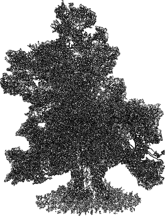 casadosouto